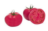 PREMIUM Tomato Pink Paradise Uzbekistan