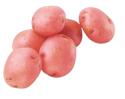 Young potato Red