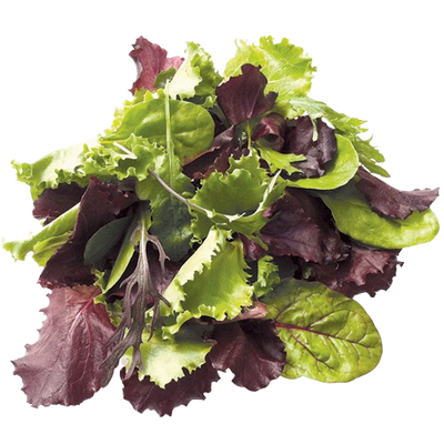 Lettuce Mesclun