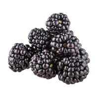 Blackberries