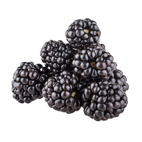 Blackberries