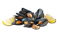 Blanched Wild Mussels (Frozen)