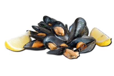 Blanched Wild Mussels (Frozen)