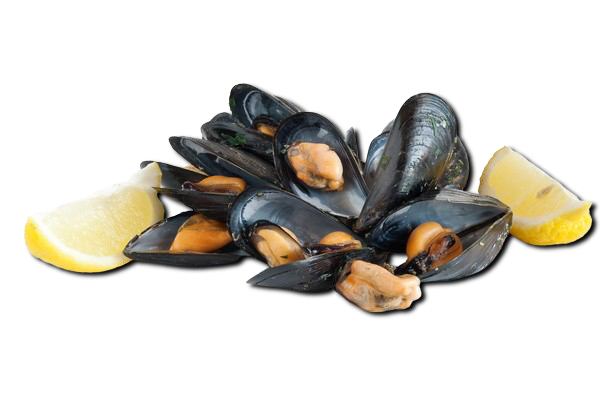 Blanched Wild Mussels (Frozen)