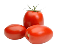 Plum Red Tomatoes