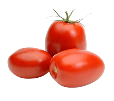 Plum Red Tomatoes