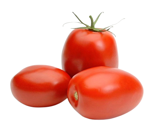 Plum Red Tomatoes