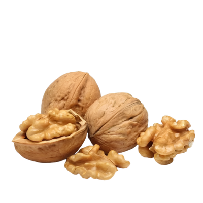 Walnuts in Shell