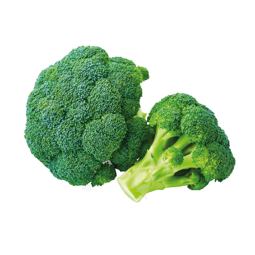 Green Broccoli 1pc