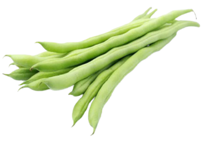 Fresh Short Bean