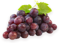 Sable  Black Grapes Seedless