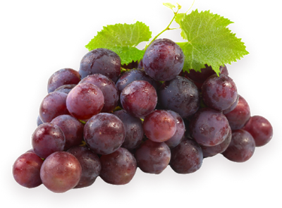 Black Grapes Seedless