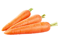 Carrot China