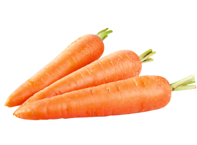 Carrot China