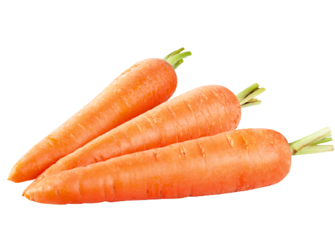 Fresh Carrot China 500g