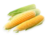 Fresh Sweet Corn 500g