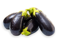 Eggplants  Medium