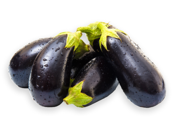 Eggplants  Medium