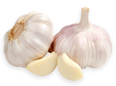 Fresh Garlic