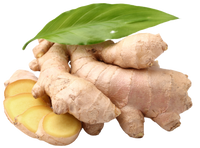 Fresh Ginger