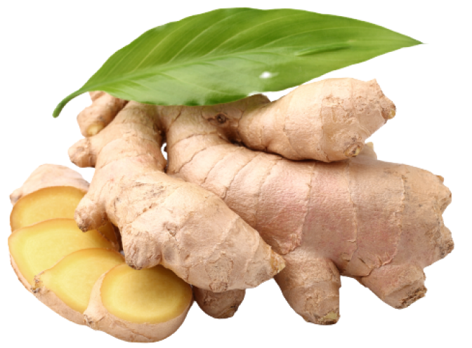 Fresh Ginger