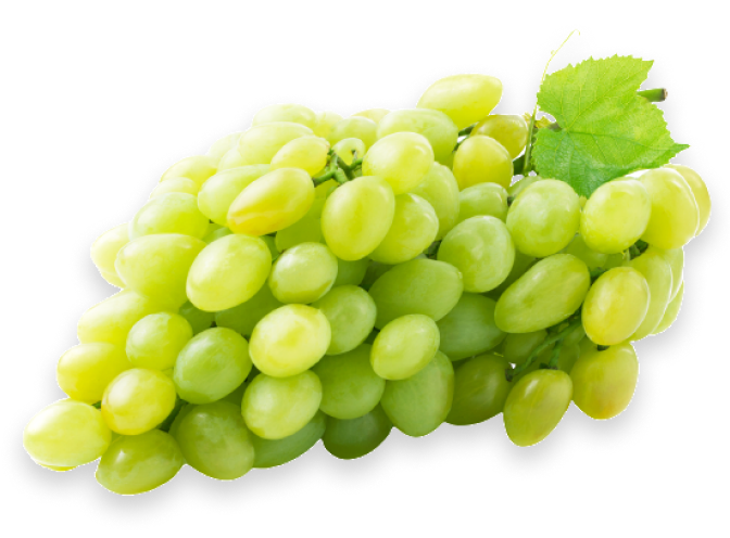 Arra Green Grape Seedless