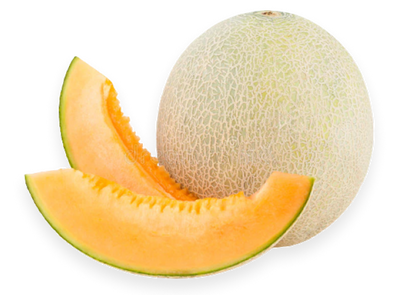 Melon