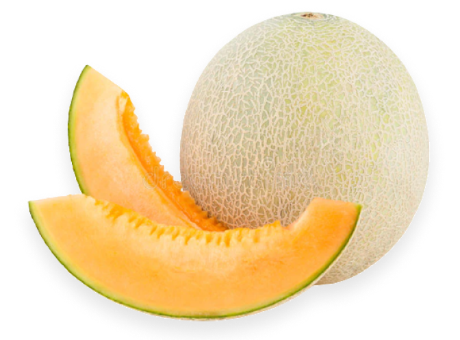 Melon