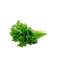 Parsley From Uzbekistan