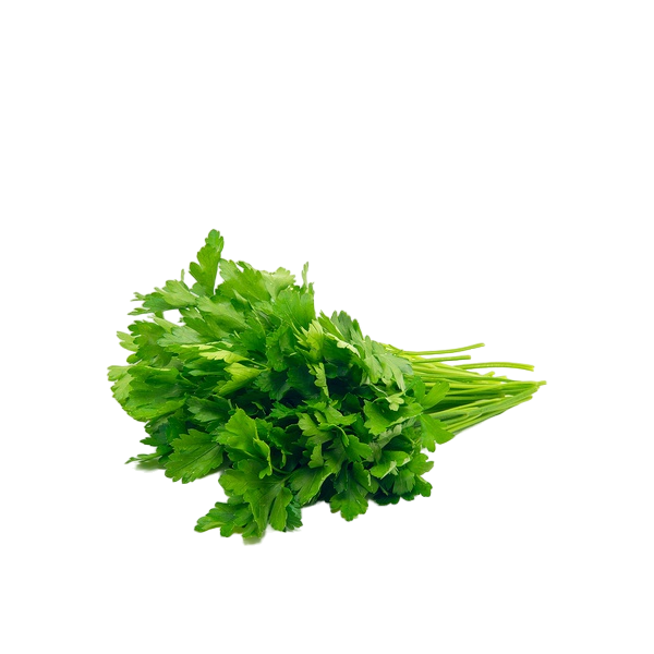 Parsley From Uzbekistan