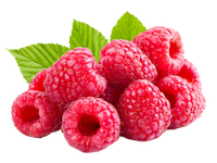 Raspberry