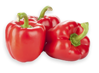 Red Capsicum