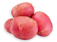 Red Potato