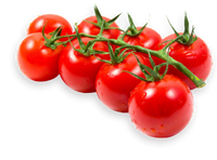 Cherry Tomatoes  Bunch