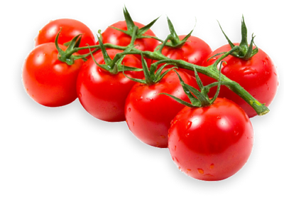 Cherry Tomatoes  Bunch