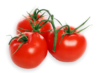 Vine Tomatoes