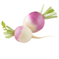 Turnip 500g