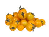 Yellow Cherry Tomatoes from Uzbekistan 500g