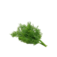 Local Fresh Dill