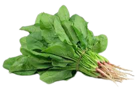 Fresh Spinach 1 bunch