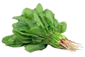 Fresh Spinach 1 bunch