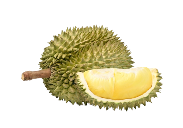 Fresh Durian 1 pc (2.5-3 kg)