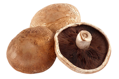 Portobello Mushroom