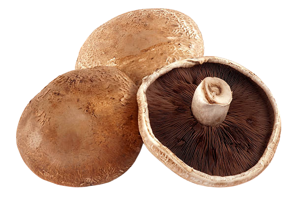 Fresh Portobello Mushroom pack around 200g