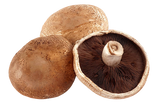 Fresh Portobello Mushroom pack around 200g