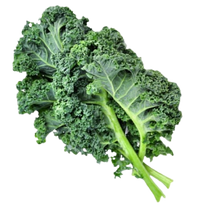 Fresh Kale