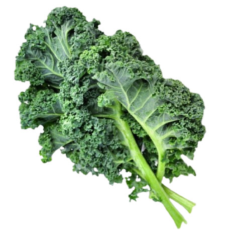 Fresh Kale