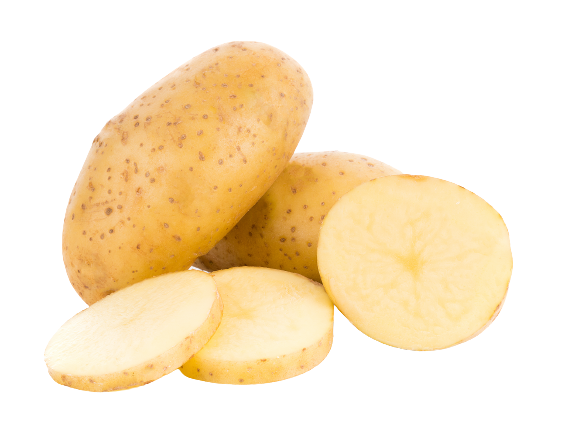 Potato